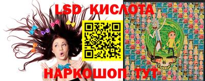 СК Кандалакша