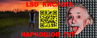 гидропоника Камышлов