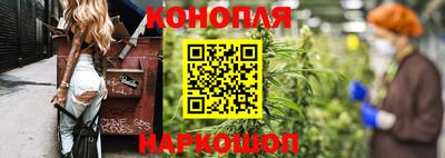 гидропоника Камышлов