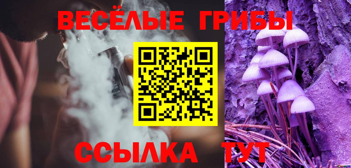 Псилоцибиновые грибы прущие грибы  Вход с VPN  Добрянка  Псилоцибиновые грибы Cubensis 
