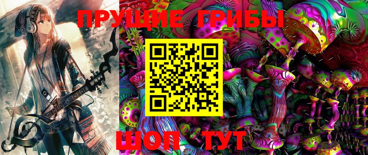 Псилоцибиновые грибы Psilocybe Добрянка